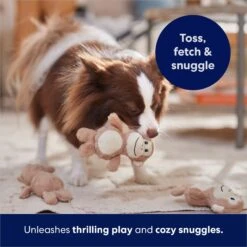 Frisco Monkeys In Tree Hide & Seek Puzzle Plush Squeaky Dog Toy Refills 10 Frisco Monkeys In Tree Hide & Seek Puzzle Plush Squeaky Dog Toy Refills -Dog Supplies Store 174768 PT5. AC SS1800 V1691784249