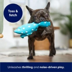 Frisco Dinosaur Latex Squeaky Dog Toy 10 Frisco Dinosaur Latex Squeaky Dog Toy -Dog Supplies Store 174770 PT3. AC SS1800 V1686579138