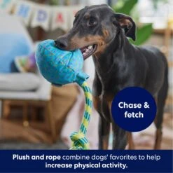 Frisco Birthday Balloon Plush With Rope Squeaky Dog Toy -Dog Supplies Store 177807 PT3. AC SS1800 V1695241973