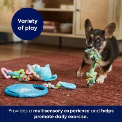 Frisco Little Friends Plush, Flyer & TPR Variety Pack Dog Toy -Dog Supplies Store 177816 PT5. AC SS1800 V1691783909