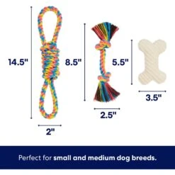 Frisco Jungle Pals Plush & Rope Variety Pack Dog Toy -Dog Supplies Store 177819 PT2. AC SS1800 V1686579629