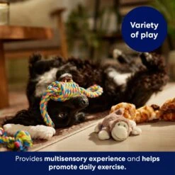 Frisco Jungle Pals Plush & Rope Variety Pack Dog Toy -Dog Supplies Store 177819 PT5. AC SS1800 V1691784249
