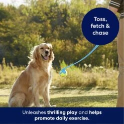 Frisco Ball Launcher & Fetch Squeaky Tennis Ball Dog Toy -Dog Supplies Store 178477 PT3. AC SS1800 V1695241970
