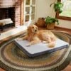 Frisco Cooling Orthopedic Pillow Dog Bed W/Removable Cover 2 Frisco Cooling Orthopedic Pillow Dog Bed W/Removable Cover -Dog Supplies Store 210223 MAIN. AC SS1800 V1590067616