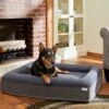 Frisco Orthopedic Rectangular Bolster Cat & Dog Bed W/Removable Cover -Dog Supplies Store 210226 MAIN. AC SS1800 V1590067652