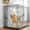 Frisco Heavy Duty Single Door Wire Dog Crate 1 Frisco Heavy Duty Single Door Wire Dog Crate -Dog Supplies Store 210677 MAIN. AC SS1800 V1660404765