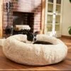 Frisco Eyelash Cat & Dog Bolster Bed -Dog Supplies Store 210771 MAIN. AC SS1800 V1589289120