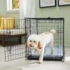 Frisco Fold & Carry Single Door Collapsible Wire Dog Crate & Mat Kit -Dog Supplies Store 212620 MAIN. AC SS1800 V1667229072