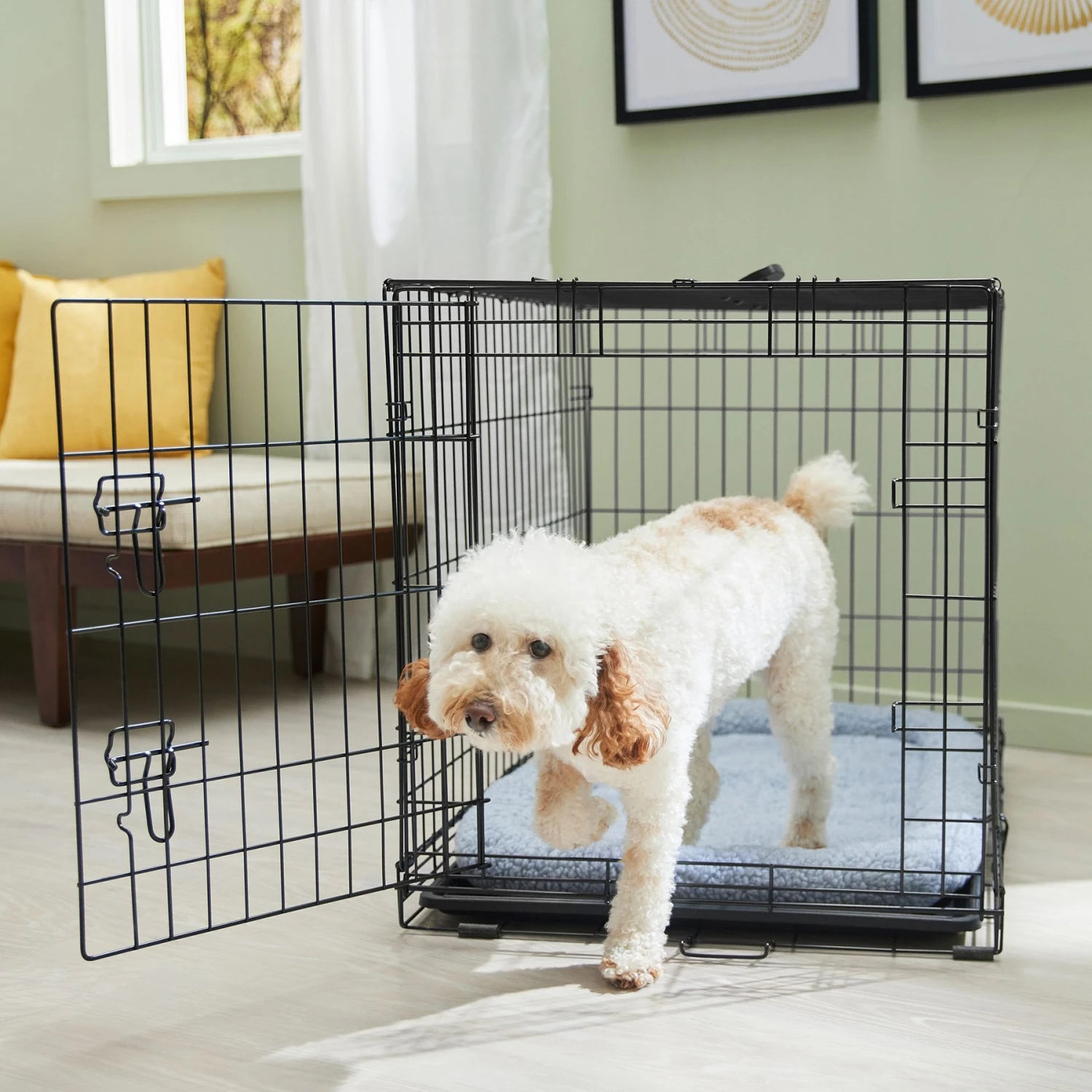 Frisco Fold & Carry Single Door Collapsible Wire Dog Crate & Mat Kit 3 Frisco Fold & Carry Single Door Collapsible Wire Dog Crate & Mat Kit