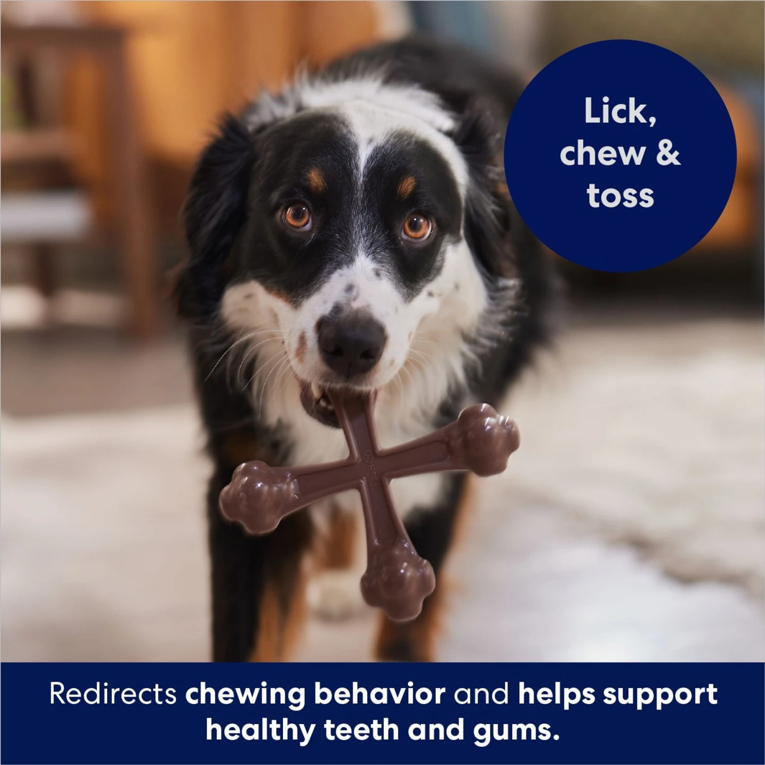 Frisco Bacon Flavor Tough Nylon Dog Chew Toy 7 Frisco Bacon Flavor Tough Nylon Dog Chew Toy - Image 5