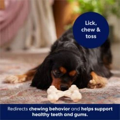 Frisco Chicken Flavor Tough Nylon Dog Chew Toy -Dog Supplies Store 213432 PT5. AC SS1800 V1691784031