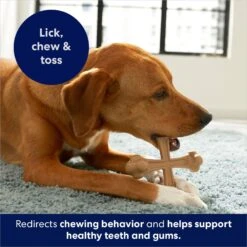 Frisco Peanut Butter Flavor Tough Nylon Dog Chew Toy -Dog Supplies Store 213436 PT5. AC SS1800 V1692019972