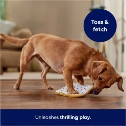 Frisco Frosted Pastry Stuffing-Free Flat Plush Squeaky Dog Toy -Dog Supplies Store 213812 PT5. AC SS1800 V1686579088