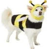 Frisco Bumble Bee Dog & Cat Costume -Dog Supplies Store 215492 MAIN. AC SS1800 V1624542927
