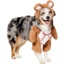 Frisco Front Walking Teddy Bear Dog & Cat Costume -Dog Supplies Store 215507 PT3. AC SS1800 V1624402415