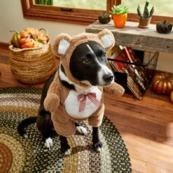 Frisco Front Walking Teddy Bear Dog & Cat Costume -Dog Supplies Store 215507 PT8. AC SS1800 V1689628224
