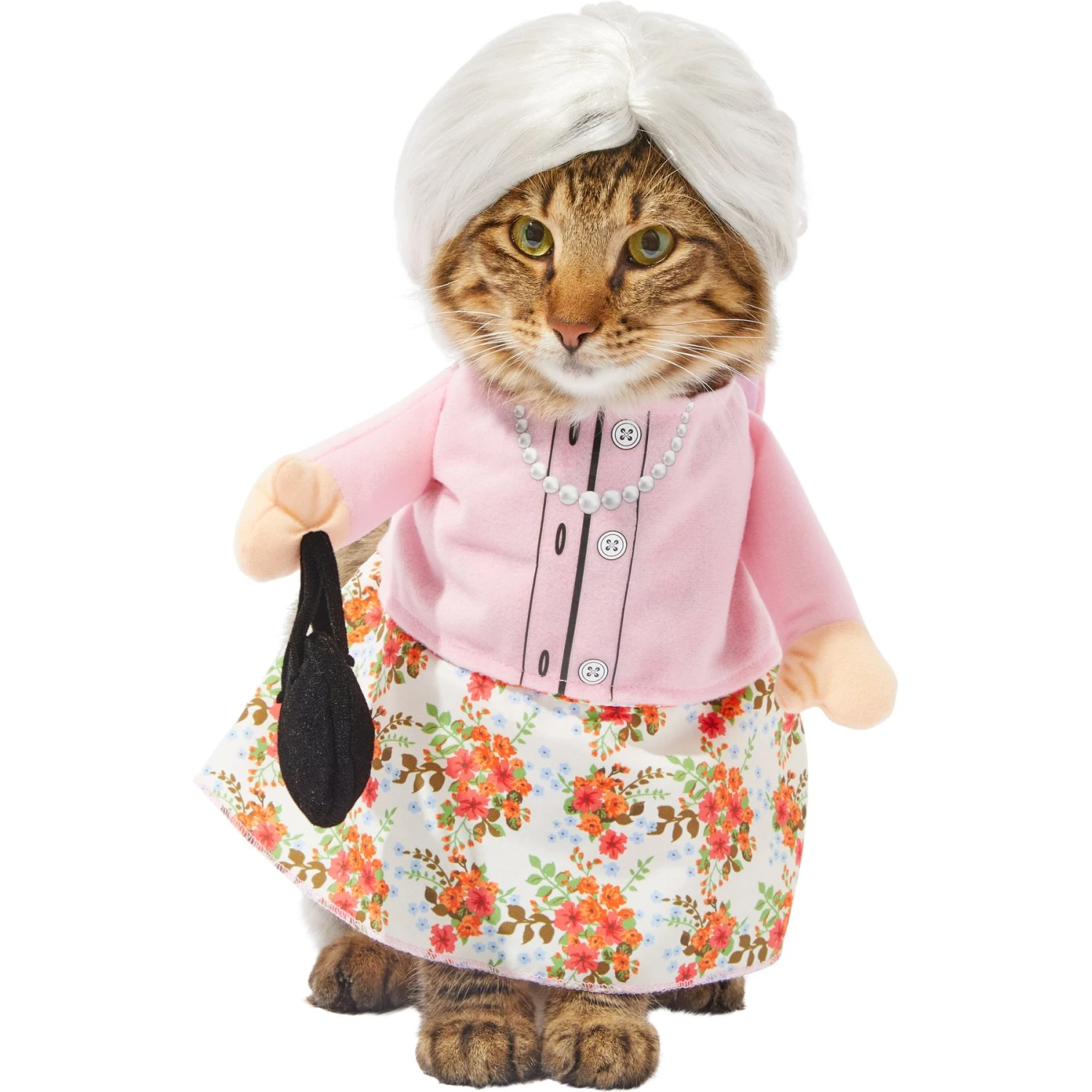 Frisco Front Walking Granny Dog & Cat Costume 2 Frisco Front Walking Granny Dog & Cat Costume