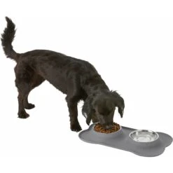 Frisco Silicone Stainless Steel Double Diner Dog & Cat Bowl -Dog Supplies Store 215990 PT5. AC SS1800 V1605662218