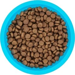 Frisco Plastic Suction Bowl, Blue 14 Frisco Plastic Suction Bowl, Blue -Dog Supplies Store 216037 PT4. AC SS1800 V1591020655