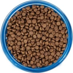 Frisco Chevron Design Glass Bowl With Silicone Sleeve 12 Frisco Chevron Design Glass Bowl With Silicone Sleeve -Dog Supplies Store 216049 PT4. AC SS1800 V1591020735