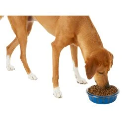 Frisco Chevron Design Glass Bowl With Silicone Sleeve 13 Frisco Chevron Design Glass Bowl With Silicone Sleeve -Dog Supplies Store 216049 PT6. AC SS1800 V1605654757