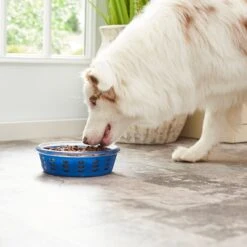 Frisco Chevron Design Glass Bowl With Silicone Sleeve 14 Frisco Chevron Design Glass Bowl With Silicone Sleeve -Dog Supplies Store 216049 PT7. AC SS1800 V1605664319