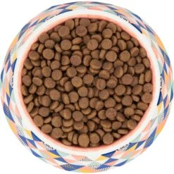 Frisco Colorful Geometric Melamine Bowl 13 Frisco Colorful Geometric Melamine Bowl -Dog Supplies Store 216054 PT4. AC SS1800 V1591020757