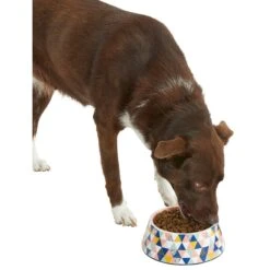 Frisco Colorful Geometric Melamine Bowl 14 Frisco Colorful Geometric Melamine Bowl -Dog Supplies Store 216054 PT6. AC SS1800 V1605658026
