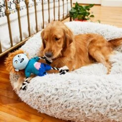 Frisco Zombie Boy Plush With Rope Squeaky Dog Toy 7 Frisco Zombie Boy Plush With Rope Squeaky Dog Toy -Dog Supplies Store 218569 PT6. AC SS1800 V1597599376