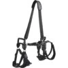 Frisco Front & Rear Lift Handicapped Support Dog Harness -Dog Supplies Store 220372 MAIN. AC SS1800 V1596501363