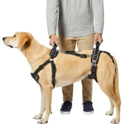 Frisco Front & Rear Lift Handicapped Support Dog Harness 11 Frisco Front & Rear Lift Handicapped Support Dog Harness -Dog Supplies Store 220372 PT5. AC SS1800 V1605749597