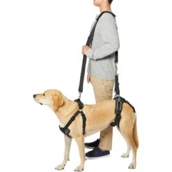 Frisco Front & Rear Lift Handicapped Support Dog Harness 12 Frisco Front & Rear Lift Handicapped Support Dog Harness -Dog Supplies Store 220372 PT6. AC SS1800 V1605758261