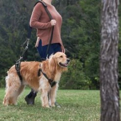 Frisco Front & Rear Lift Handicapped Support Dog Harness 13 Frisco Front & Rear Lift Handicapped Support Dog Harness -Dog Supplies Store 220372 PT7. AC SS1800 V1605738439