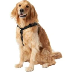 Frisco Nylon Step In Back Clip Dog Harness -Dog Supplies Store 220519 PT2. AC SS1800 V1605591714
