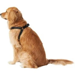 Frisco Nylon Step In Back Clip Dog Harness -Dog Supplies Store 220519 PT3. AC SS1800 V1605593555