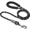 Frisco Rope Dog Leash With Padded Handle -Dog Supplies Store 221218 MAIN. AC SS1800 V1701796765