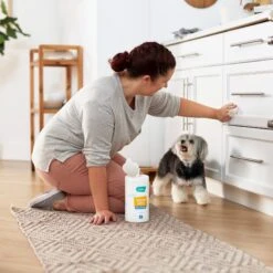 Frisco Vinegar Cleaning Wipes, 70 Count -Dog Supplies Store 222151 PT4. AC SS1800 V1602847932