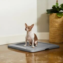 Frisco Training Pad Holder -Dog Supplies Store 227474 PT6. AC SS1800 V1604701643