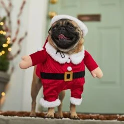 Frisco Front Walking Santa Dog & Cat Costume, 1 Count 14 Frisco Front Walking Santa Dog & Cat Costume, 1 Count -Dog Supplies Store 228785 PT7. AC SS1800 V1601560869