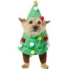 Frisco Front Walking Christmas Tree Dog & Cat Costume -Dog Supplies Store 229164 MAIN. AC SS1800 V1631300529