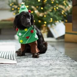 Frisco Front Walking Christmas Tree Dog & Cat Costume -Dog Supplies Store 229164 PT7. AC SS1800 V1601385981