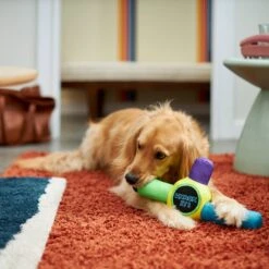 Frisco Retro Whack It! Ballistic Nylon Plush Squeaky Dog Toy 7 Frisco Retro Whack It! Ballistic Nylon Plush Squeaky Dog Toy -Dog Supplies Store 230302 PT3. AC SS1800 V1601947283