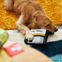 Frisco Retro Floppy Disc Ballistic Nylon Plush Squeaky Dog Toy -Dog Supplies Store 230304 PT3. AC SS1800 V1602639753