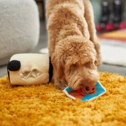 Frisco Retro Camera 2-in-1 Rip For Surprise Plush Squeaky Dog Toy 7 Frisco Retro Camera 2-in-1 Rip For Surprise Plush Squeaky Dog Toy -Dog Supplies Store 230306 PT3. AC SS1800 V1602639779