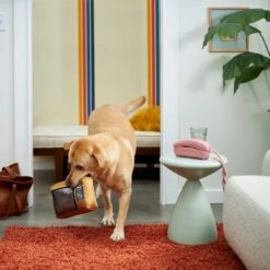 Frisco Retro Television Ballistic Nylon Plush Squeaky Dog Toy -Dog Supplies Store 230308 PT3. AC SS1800 V1601947325