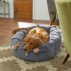 Frisco Velvet Round Bolster Dog Bed W/Removable Cover 2 Frisco Velvet Round Bolster Dog Bed W/Removable Cover -Dog Supplies Store 232178 MAIN. AC SS1800 V1602013291