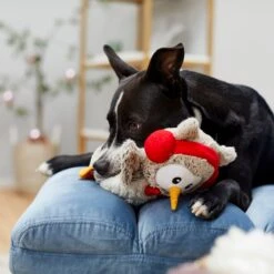 Frisco Holiday Owl Plush Squeaky Dog Toy -Dog Supplies Store 233160 PT2. AC SS1800 V1601304724