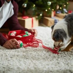 Frisco Holiday Wreath Fetch Squeaky Tennis Ball Dog Toy -Dog Supplies Store 233189 PT5. AC SS1800 V1601919657