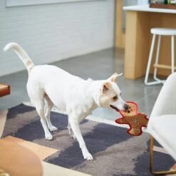 Frisco Holiday Gingerbread Man Flat Plush Squeaky Dog Toy 10 Frisco Holiday Gingerbread Man Flat Plush Squeaky Dog Toy -Dog Supplies Store 233241 PT2. AC SS1800 V1601311903