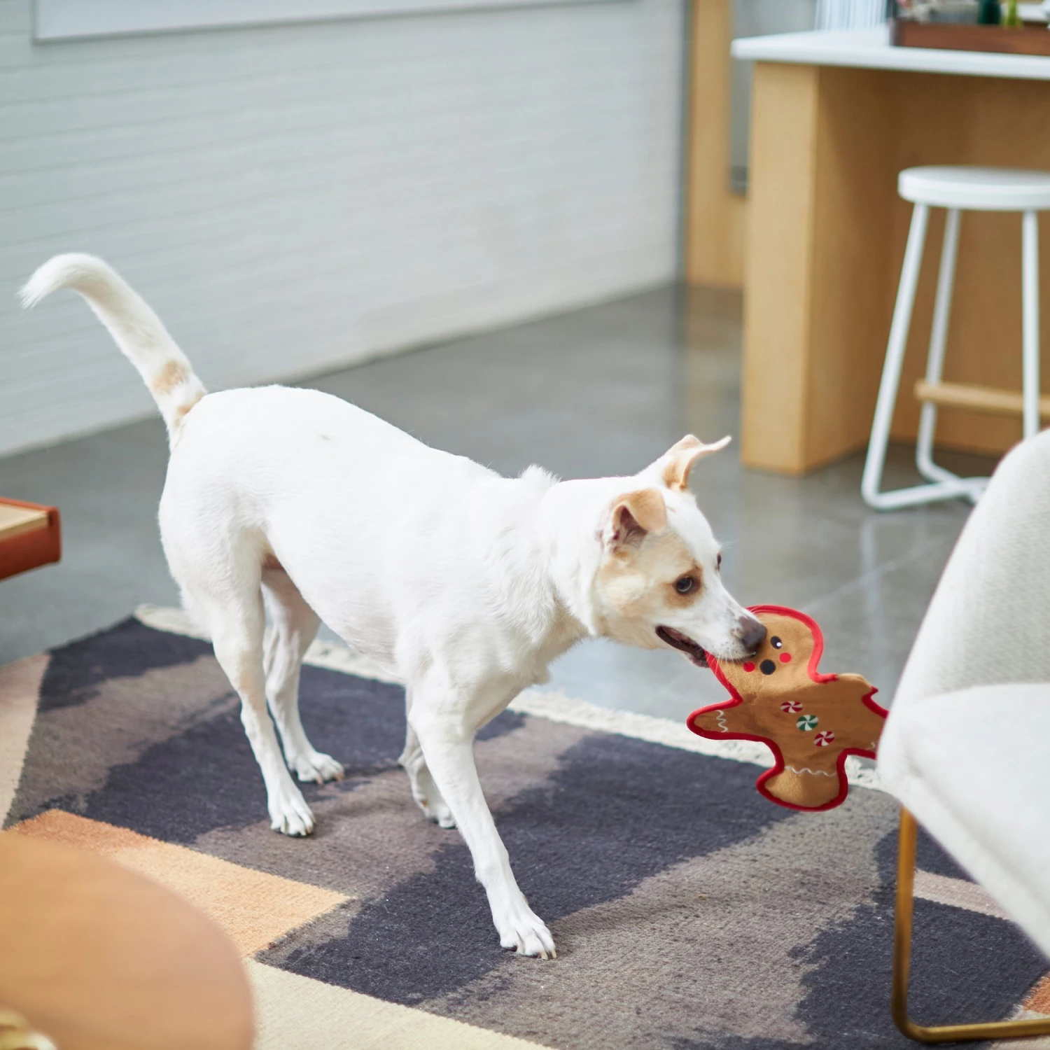 Frisco Holiday Gingerbread Man Flat Plush Squeaky Dog Toy 5 Frisco Holiday Gingerbread Man Flat Plush Squeaky Dog Toy - Image 3